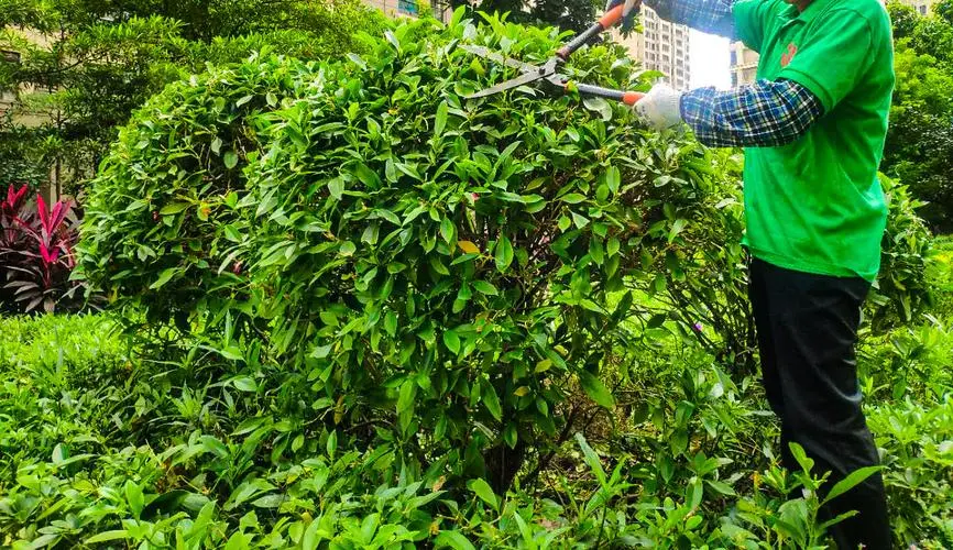高芙美网用的网球拍