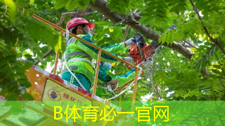 乒乓球台内围球