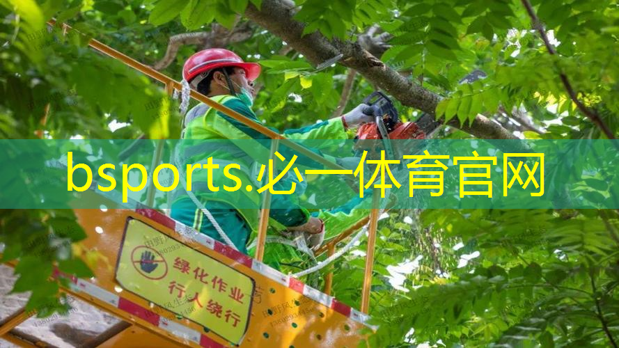 乒乓球台正反面